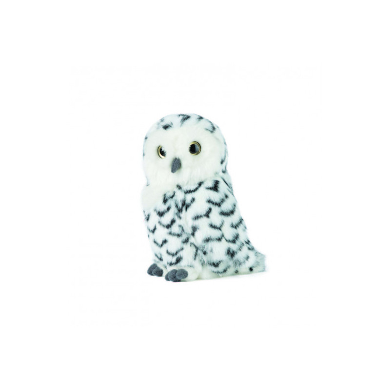 Living nature - Snowy Owl with Turning Head