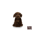 Living nature - Chocolate Labrador