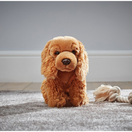 Living nature - Cocker Spaniel