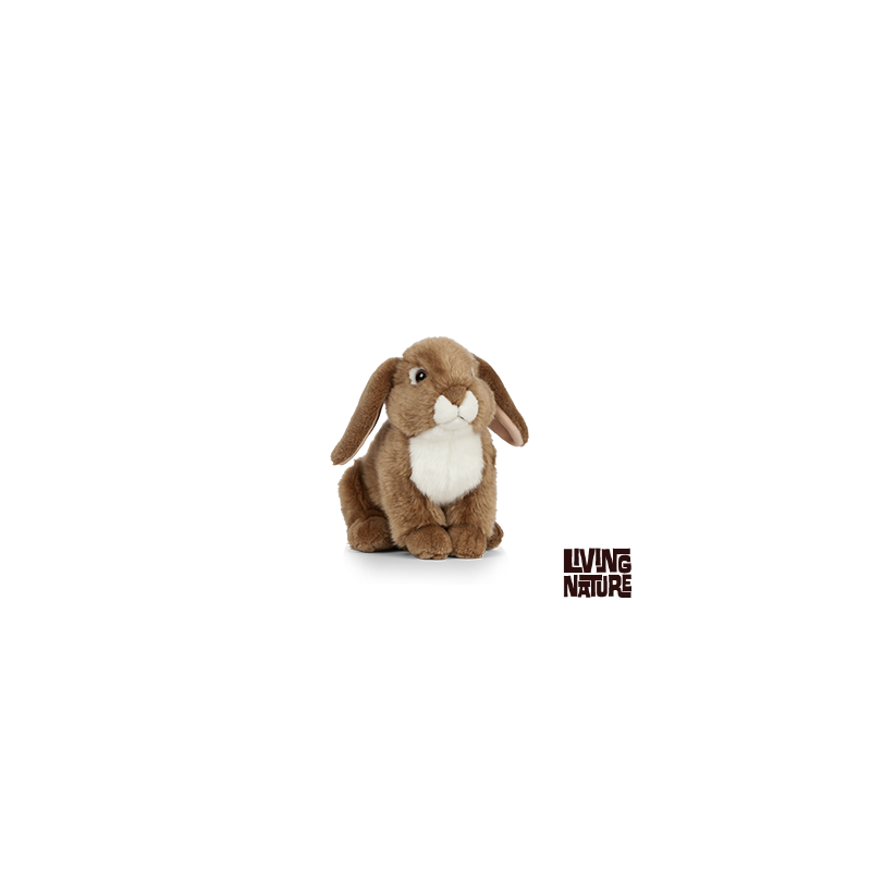 Living nature - French Lop Eared Rabbit