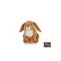 Living nature - French Lop Eared Rabbit
