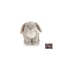 Living nature - French Lop Eared Rabbit