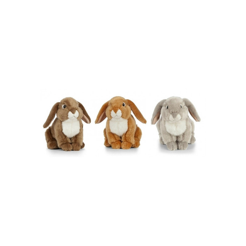 Living nature - French Lop Eared Rabbit