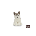 Living nature - Husky