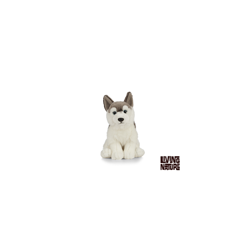 Living nature - Husky