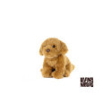 Living nature - Cavapoo