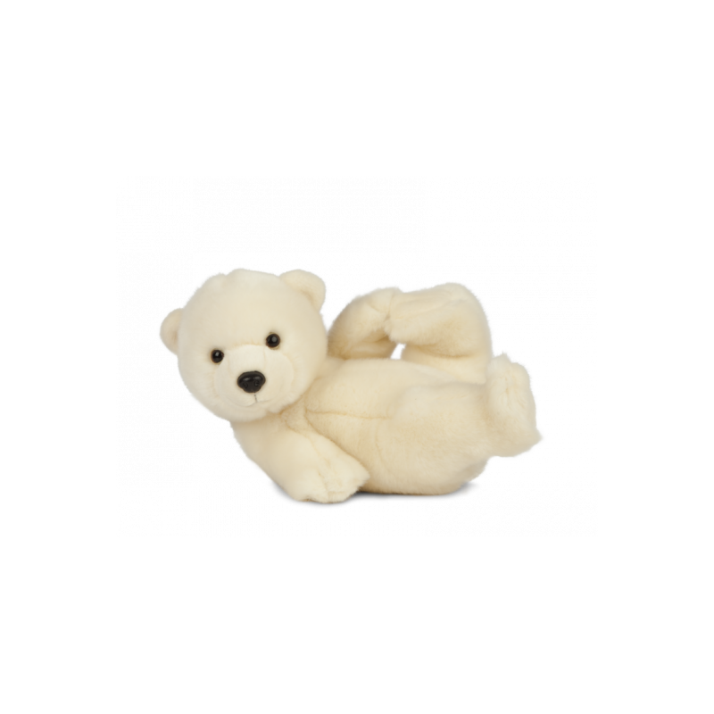 Living nature - Polar Bear Cub Playing