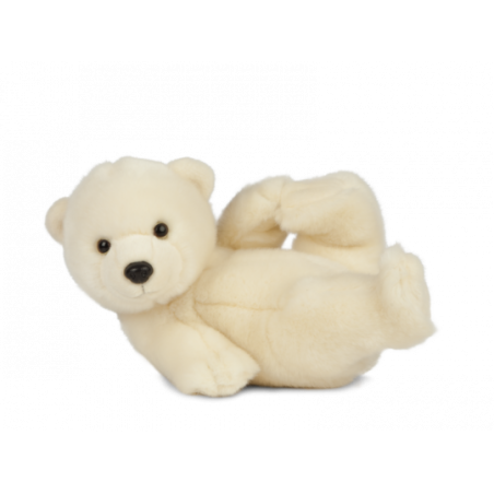 Living nature - Polar Bear Cub Playing
