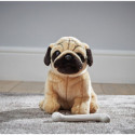Living nature - Pug