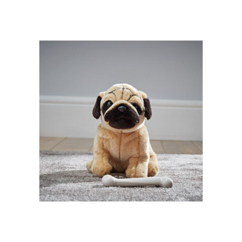 Living nature - Pug