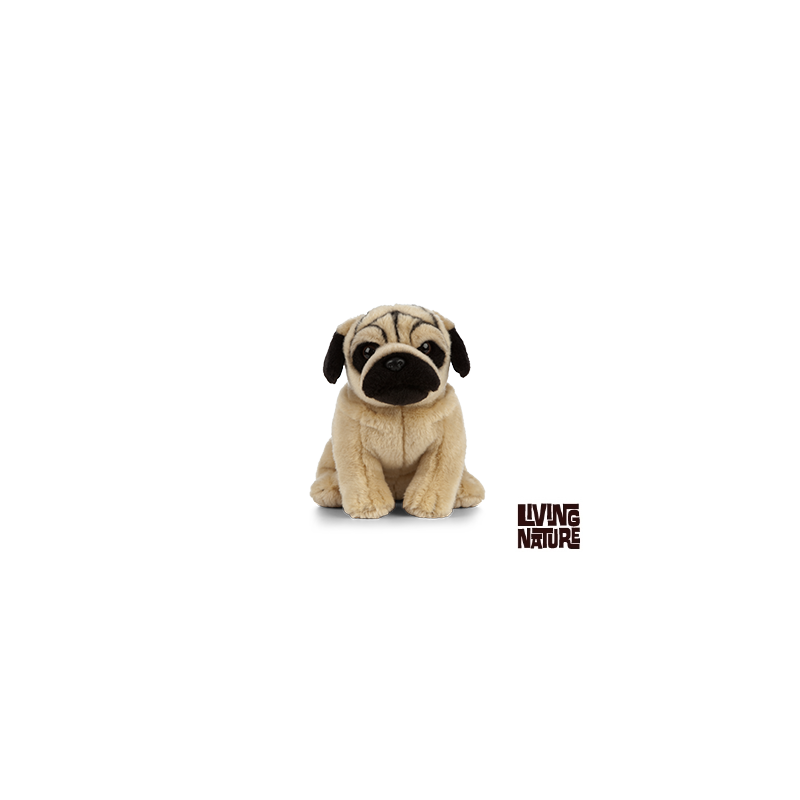 Living nature - Pug