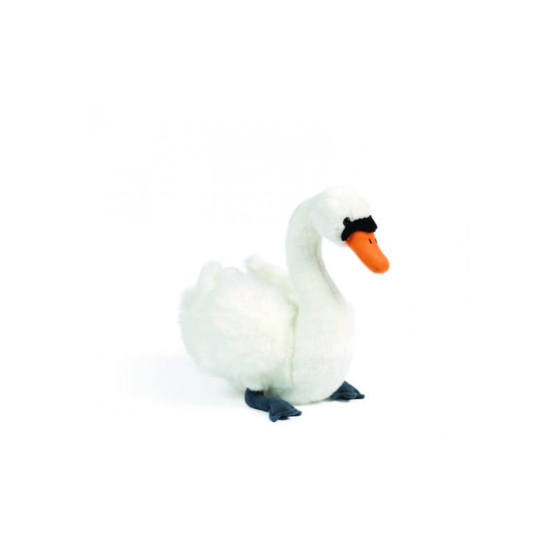 Living nature - Swan Large