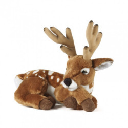 Living nature - Deer with Antlers