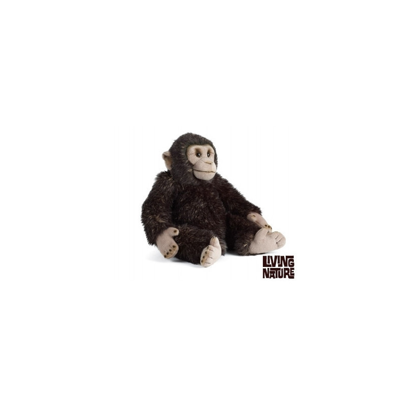 Living nature - Chimp