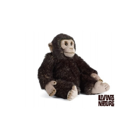 Living nature - Chimp