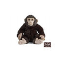 Living nature - Chimp