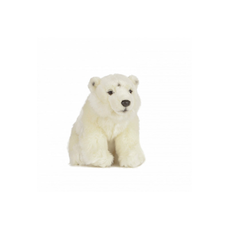 Living nature - Polar Bear Small