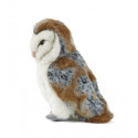 Living nature - Barn Owl Large