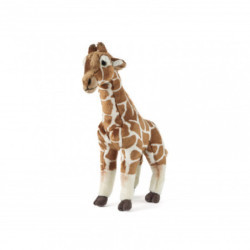 Living nature - Giraffe Large