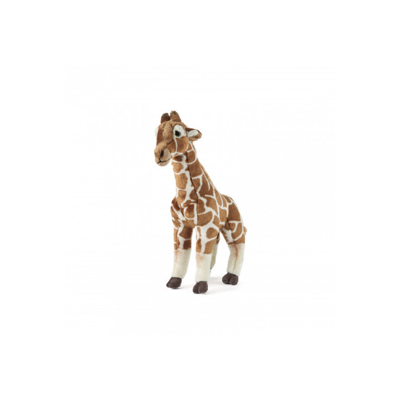 Living nature - Giraffe Large
