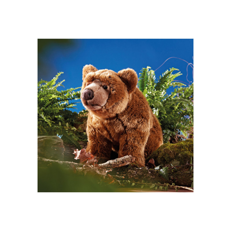 Living nature - Brown Bear Large