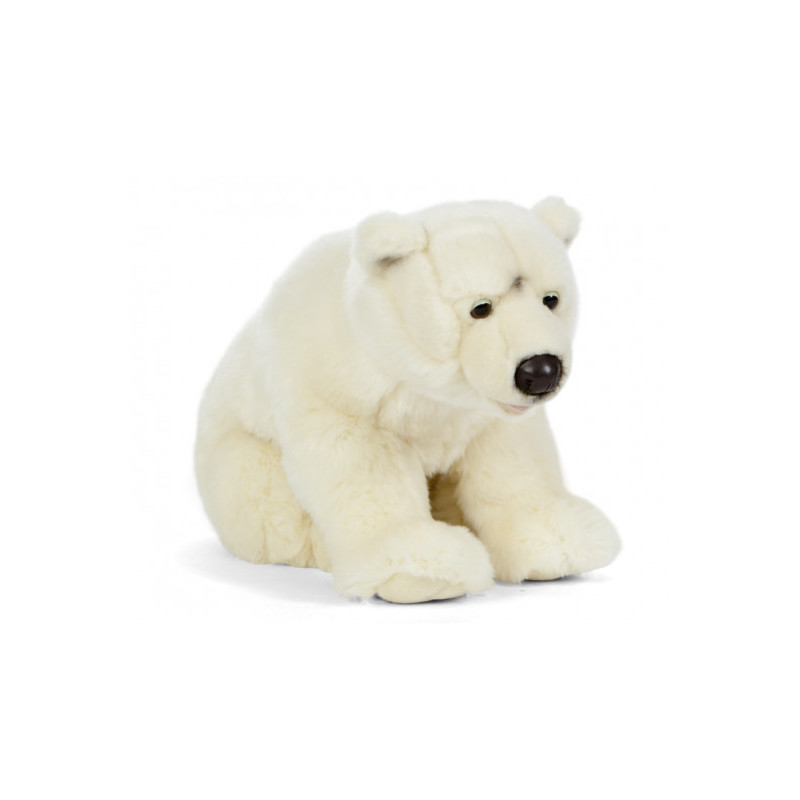 Living nature - Polar Bear Large