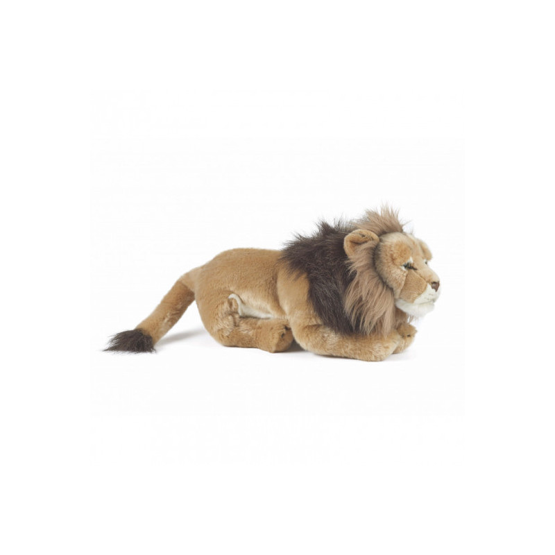 Living nature - Male Lion Large