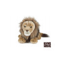 Living nature - Male Lion Large