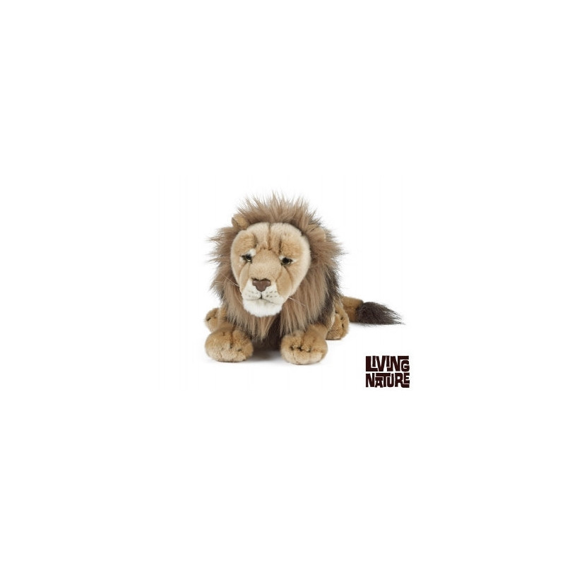 Living nature - Male Lion Large