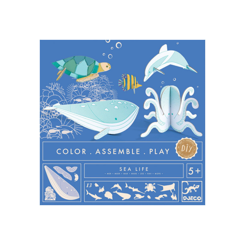 Djeco - Sea life
